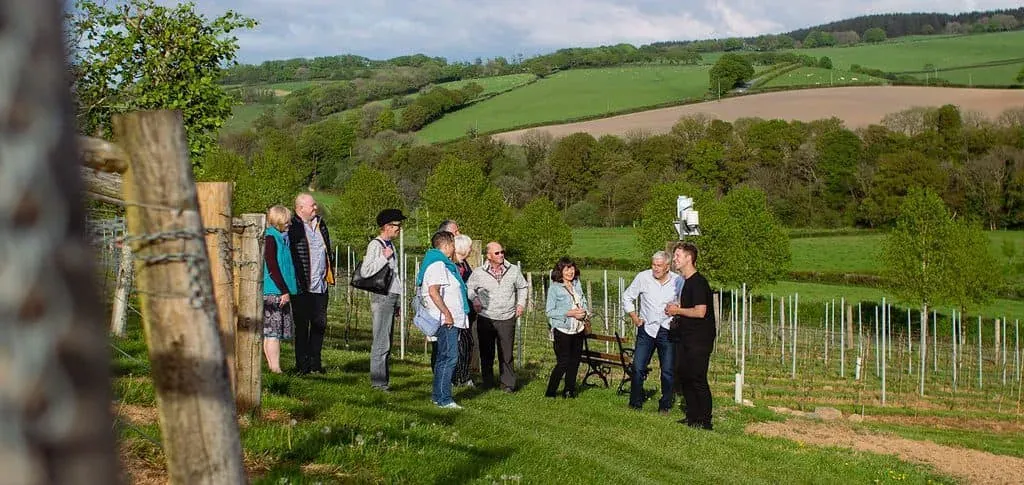 Retrieved from: www.aldervineyard.uk Alder vineyard wine and food